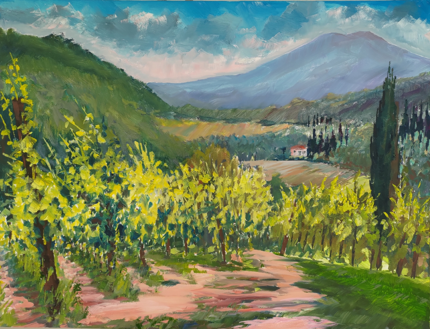 Toscana vinmark  | Maleri