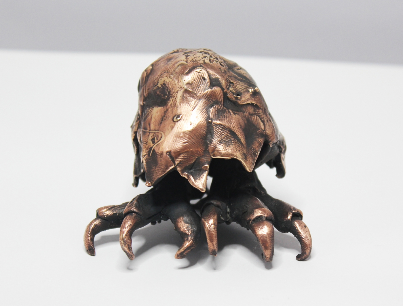 In the shell | Skulptur