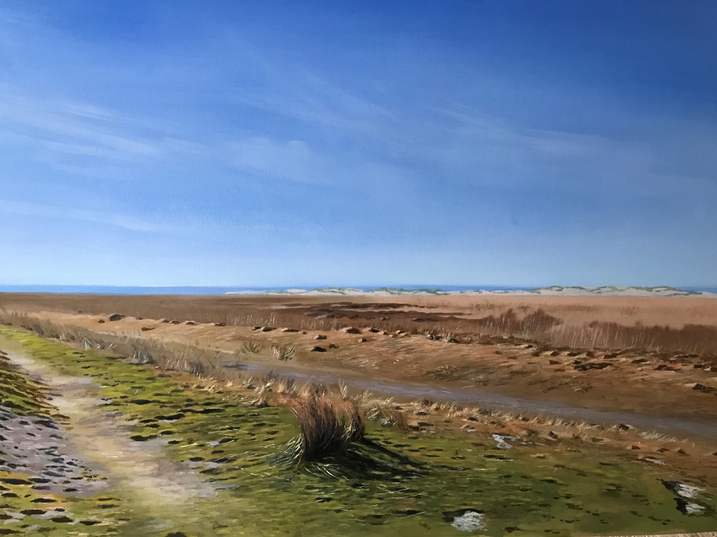 'Strandeng ved Vestkysten' | Maleri