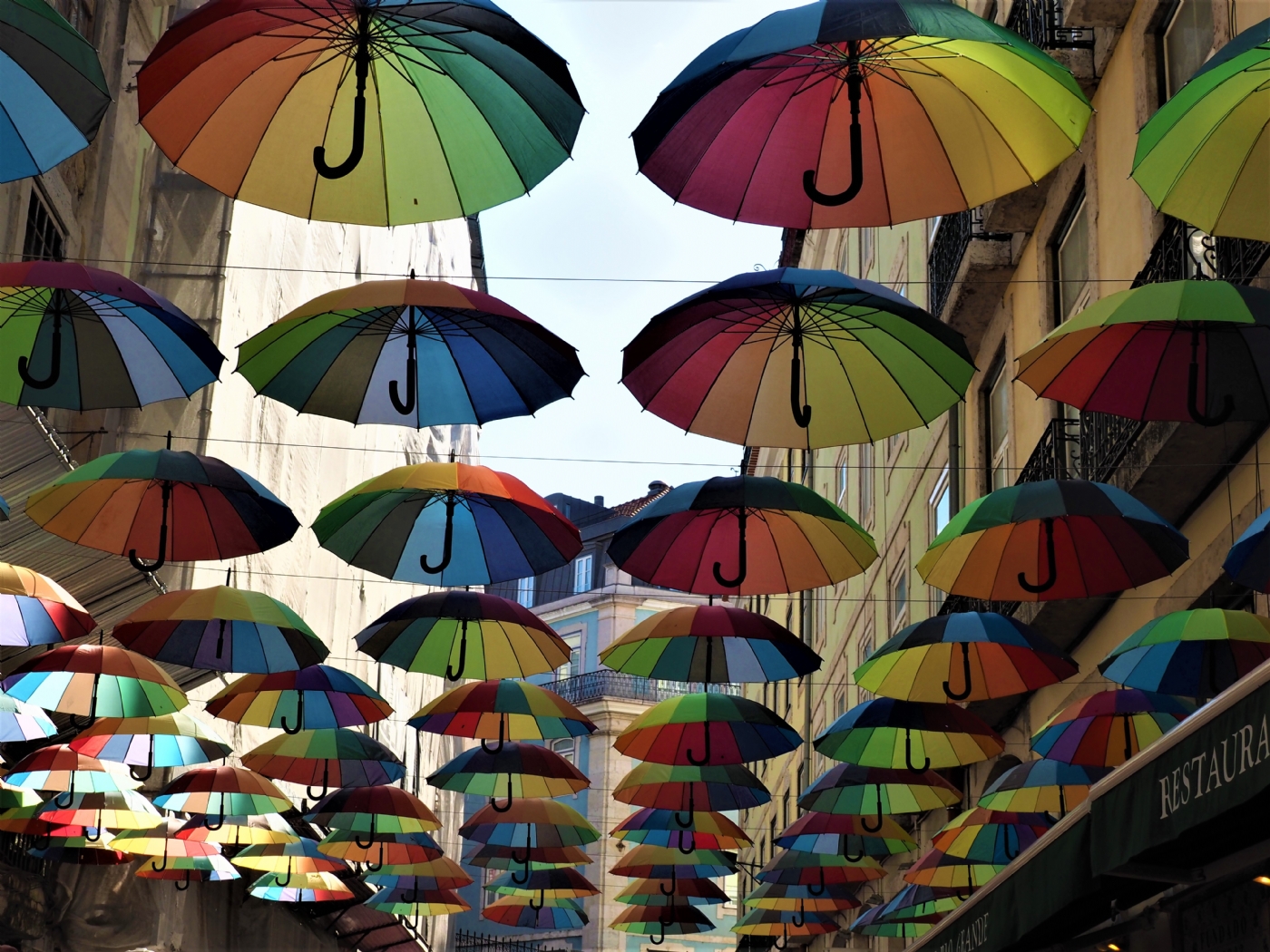 Paraplyer | Unika Ramme