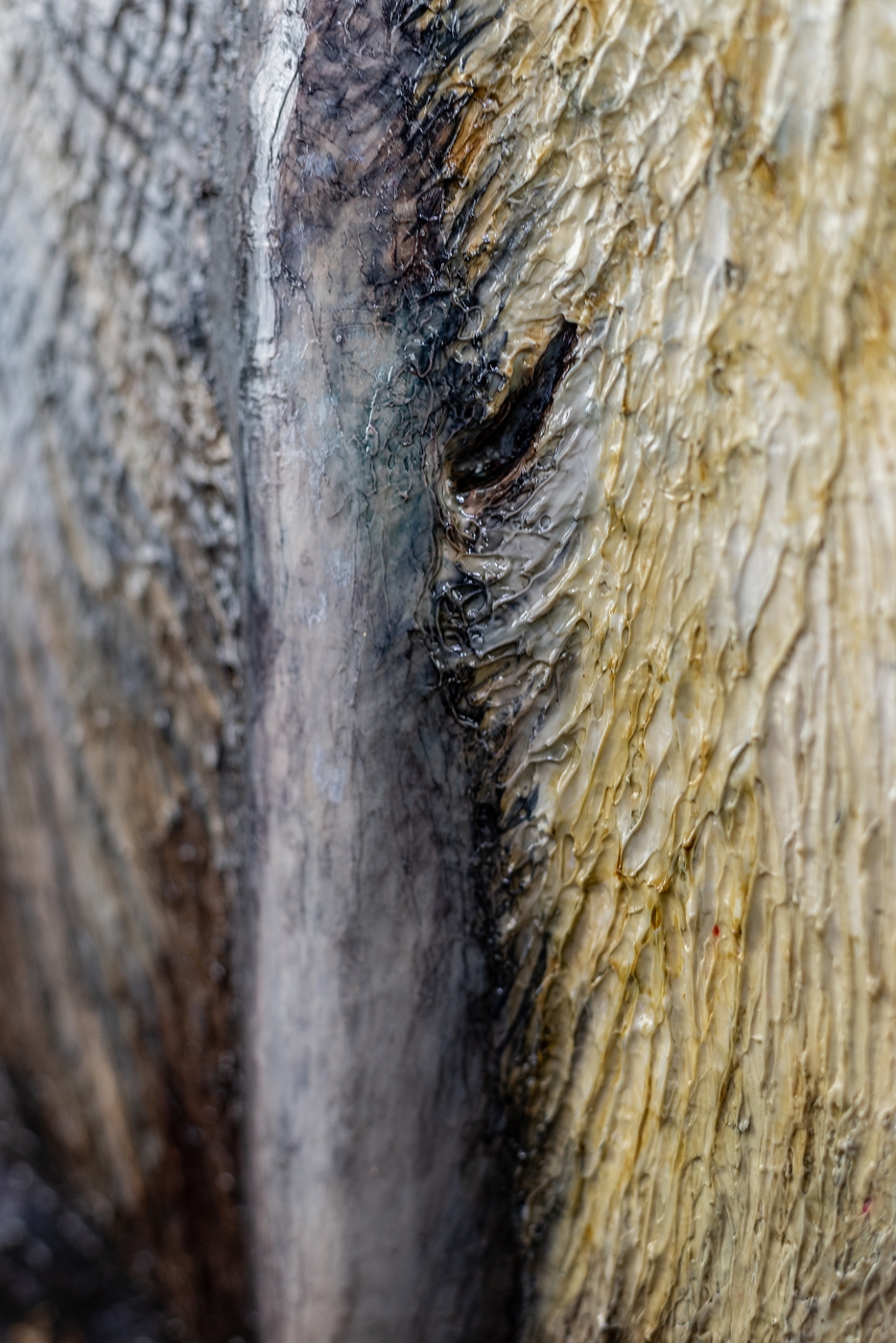 Skovhornugle | Maleri | Detail 3